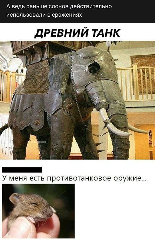 А ведь раньше слонов действительно использовали в сражениях древний ТАНК У МЕНЯ ЕСТЬ ПрОТИВОТаНКОВОЕ оружие