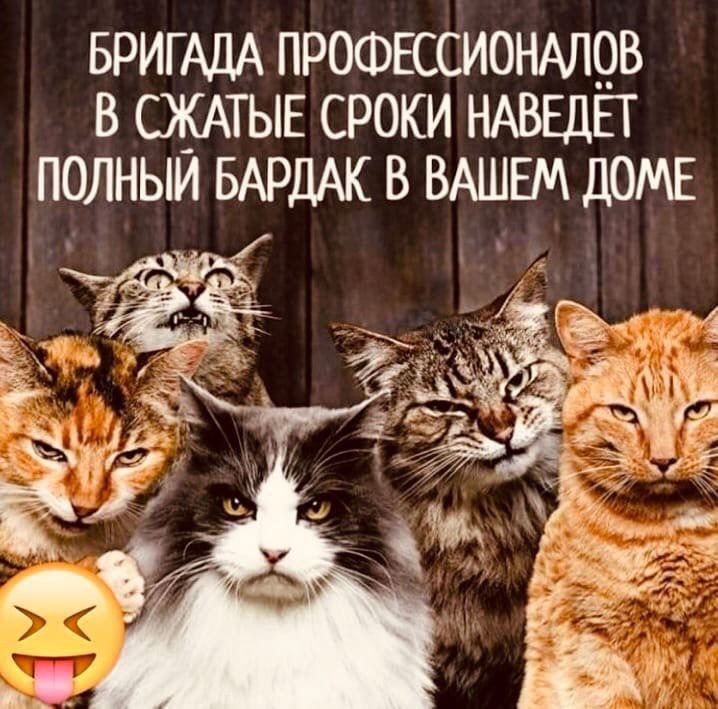 БРИГАДА префксионхщв в СЖАТЫЕ сроки НАВЕДЕГ полныи БАРДАК в ВАШЕМ ДОМЕ