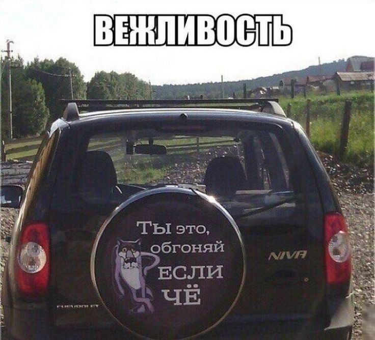 ВЕЖЛИШЗВТЬ