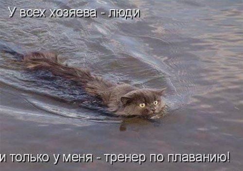 і _ итвпыю у Менадрева пбгіпаванию