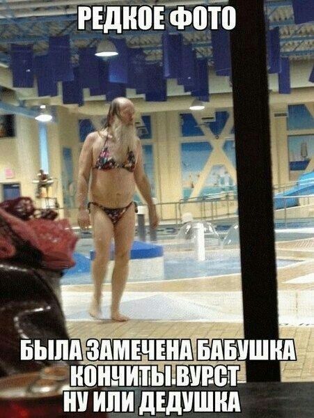 ИИ ИЛИ ДЕДИШИИ