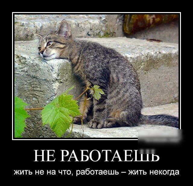 НЕ РАБОТАЕШ жить не на что работаешь жить некогда