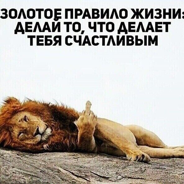ЗОАОТОЕ ПРАВИАО ЖИЗНИ АЕМИ ТО ЧТО АЕААЕТ ТЕБЯ СЧАСТАИВЫМ