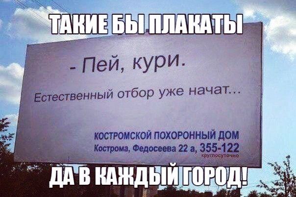 Пей кури Ътепвенный отбор уже начат костромской похоронный дом _кппршн щ и 355 1 дЙЙЖдіЁишпцод