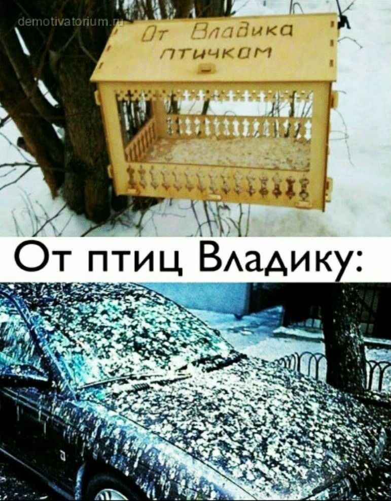 1 7ТичКПГУ