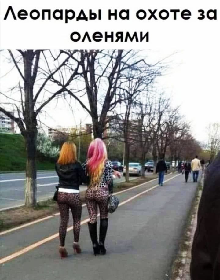 еОПОРАЬ на охоте 30 оденями