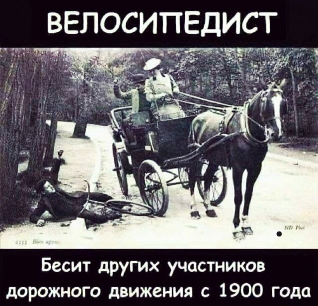 Бесит других участников дорожного движения с 1900 года
