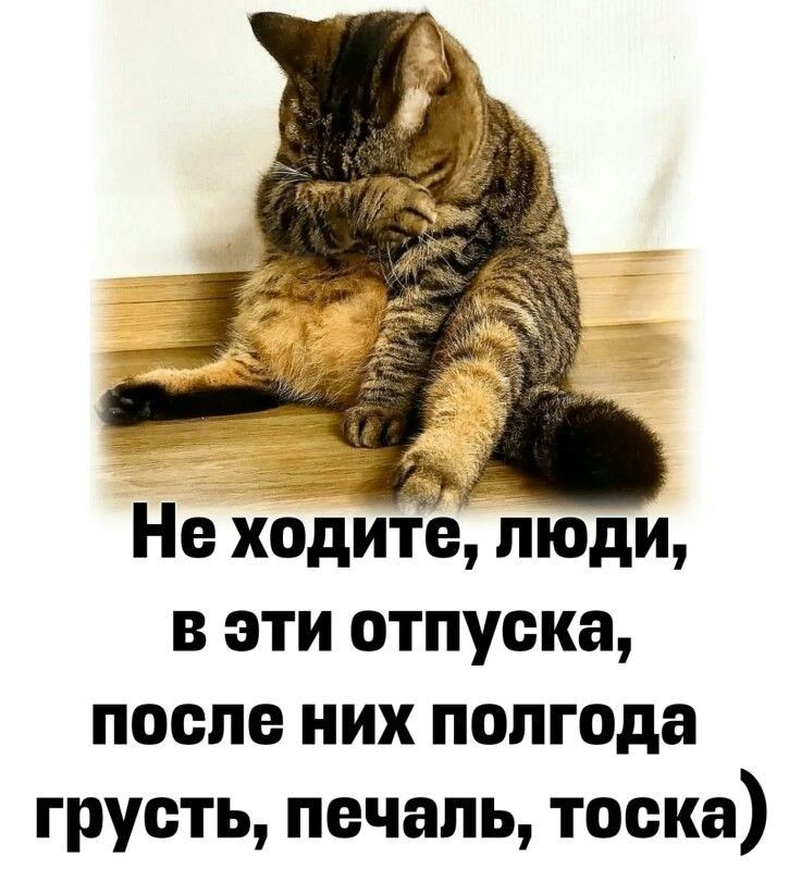 Не ходите люди в эти отпуска после них полгода грусть печаль тоска