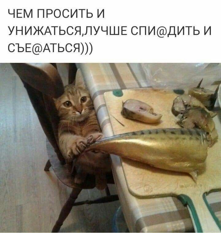 ЧЕМ просить и униждьсялучш5 СПИДИТЬ и СЪЕАТЬСЯ