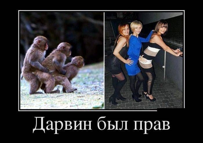 Дарвин был прав