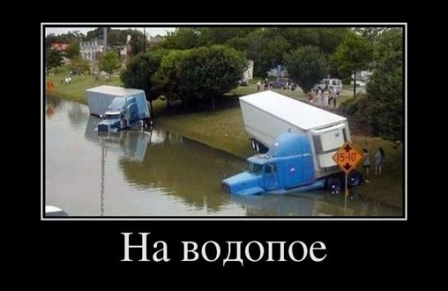 На водопое