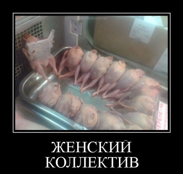 ЖЕНСКРШ КОЛЛЕКТИВ