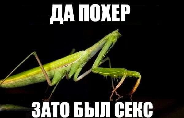дд ПШШ здто вылете