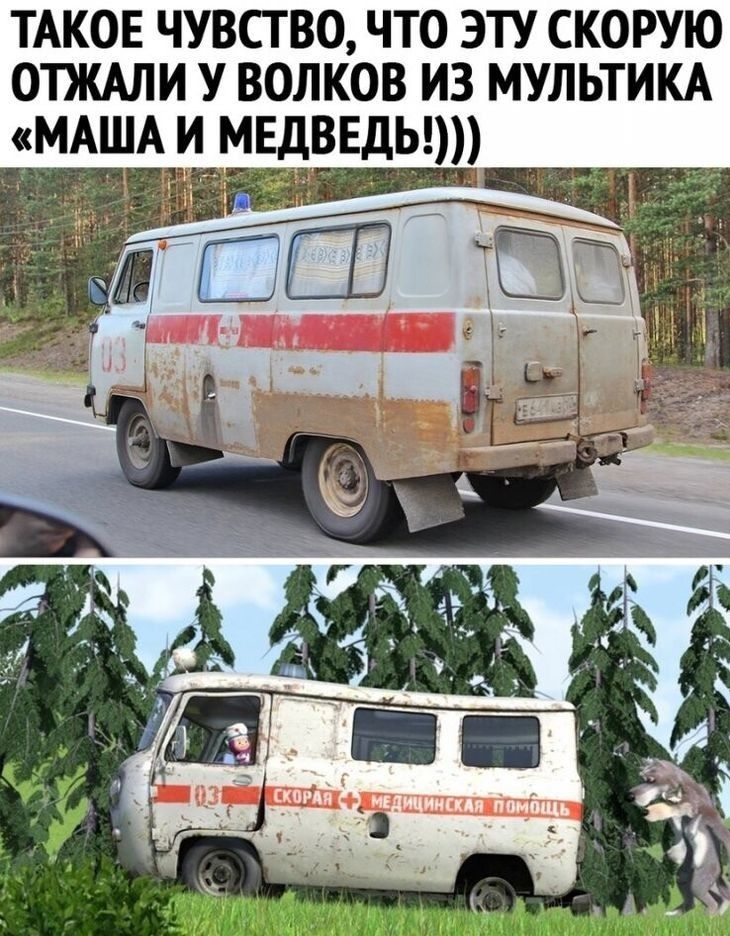 ТАКОЕ чувство что эту скорую отжми У волков из мультим МАША и мвдввдыт 1534