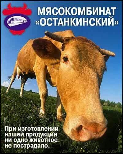 При изготовлений нашей продукции ни одицживотнве ие пострадало