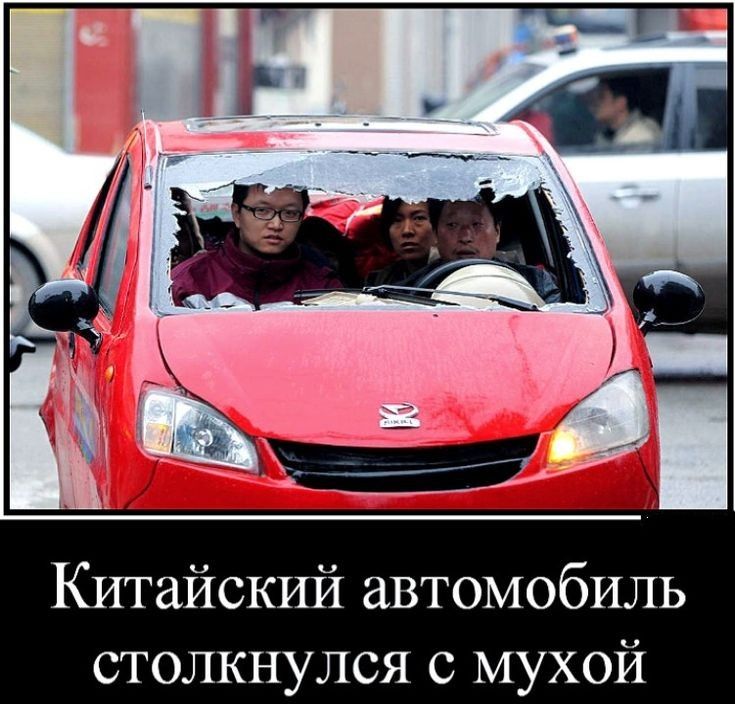 Китайский автомобиль столкнулся мухой