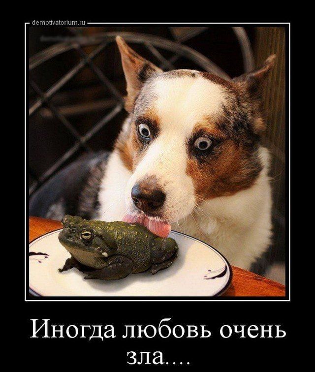 Иногда ЛЮбОВЬ ОЧСНЬ зла _