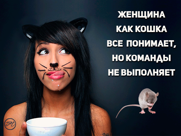 ЖЕНЩИНА КАК КОШКА ВСЕ ПОНИМАЕТ НО КОМАНДЫ НЕ ВЫПОАНЯЕТ