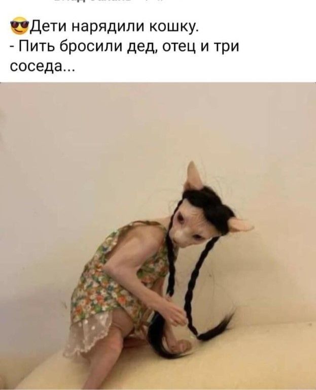 Дети нарядили кошку Пить бросили дед отец и три соседа
