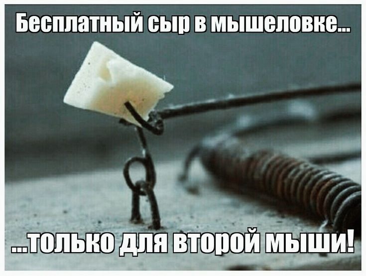 БЕСППЁШЫЙ БМП В мышеловке