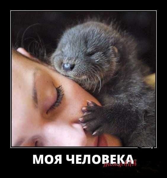 МОЯ ЧЕЛОВЕКА
