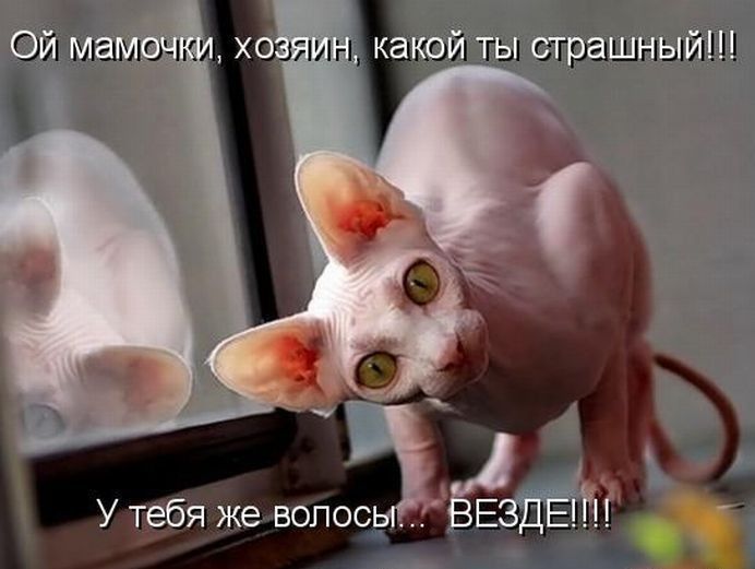 ой мэшючт итп мэй гы сграшный