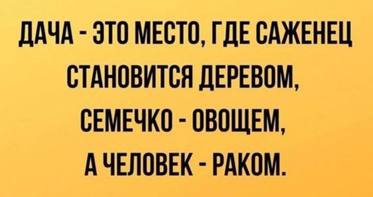 ЛАЧА ЭТС МЕСТС ГдЕ САЖЕНЕЦ СТАНОВИТСЯ дЕРЕВСМ СЕМЕЧКП СВПЩЕМ А ЧЕЛОВЕК РАКСМ