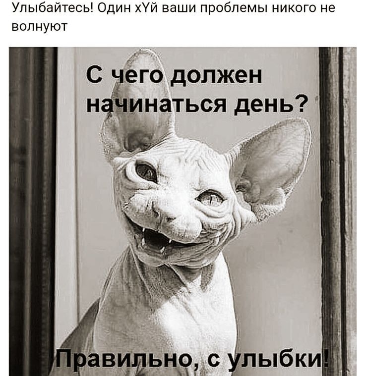 Упыбайтесь Один хй ваши проблемы никого не волнуют С чёго должен нйинаться день Ёвциьцедс улыбки
