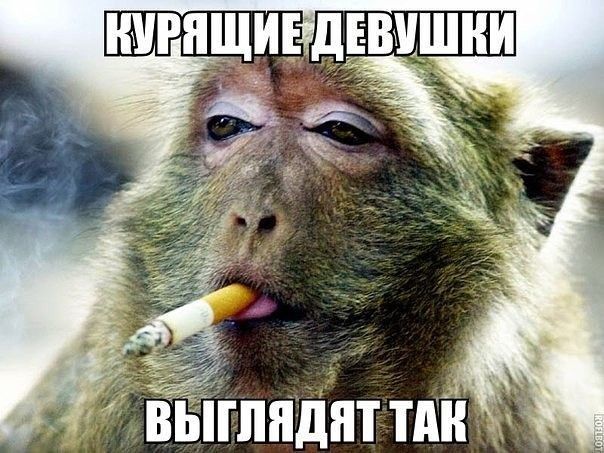 Б д П