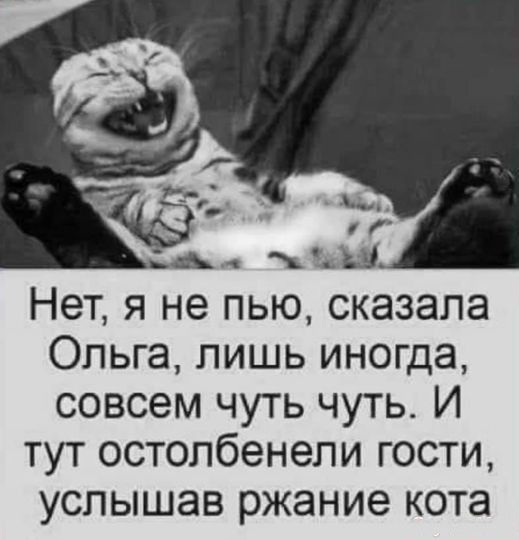 _д Нет я не пью сказала Ольга лишь иногда совсем чуть чуть И тут остолбенели гости услышав ржание кота