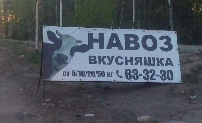 і іАвоз ВКУСНЯШКА