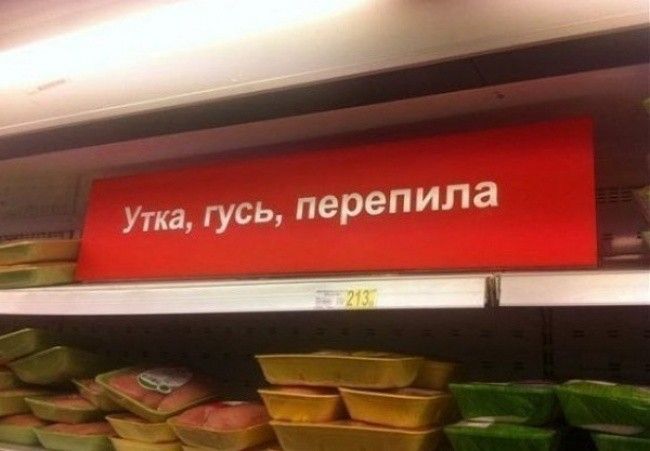 Утка гусь перепила