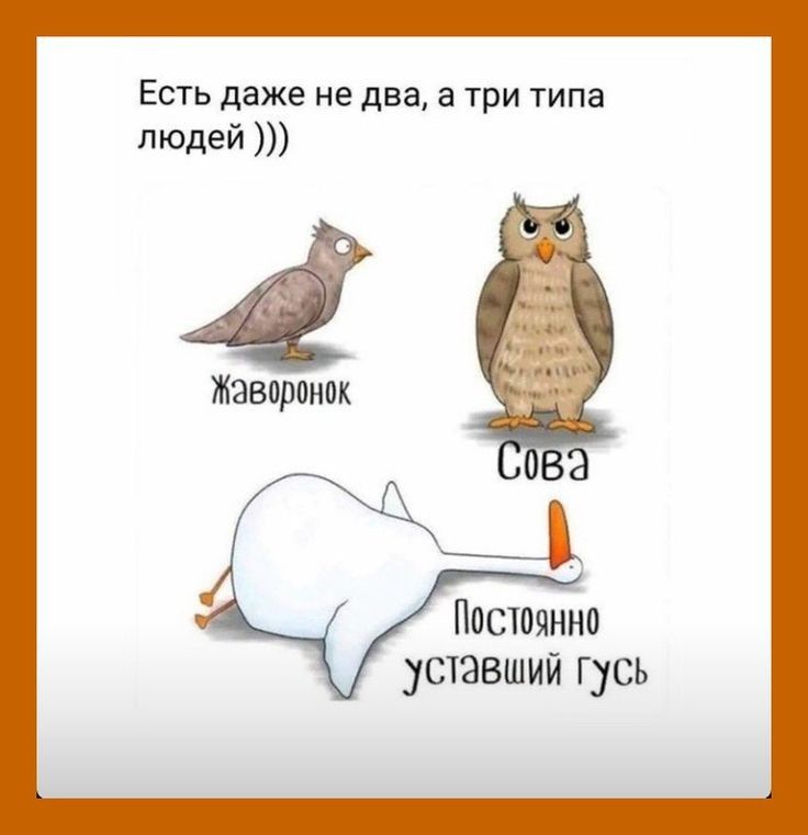 Есть даже не два а три типа людей картинки