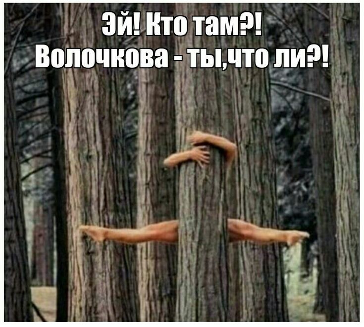 Зиитоітамт 4