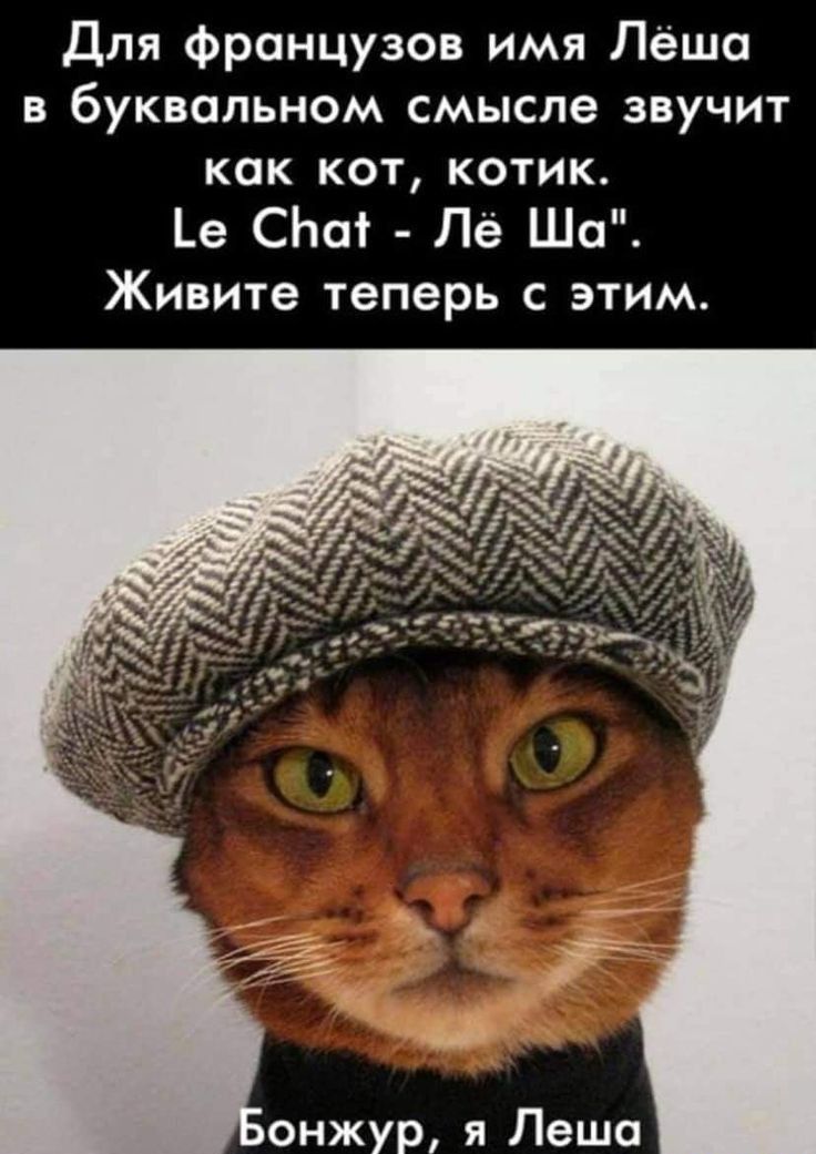 Для французов имя Лёша в буквальном смысле звучит как кот котик е СЬаі Лё Шо Живите теперь с этим онжур я Леша