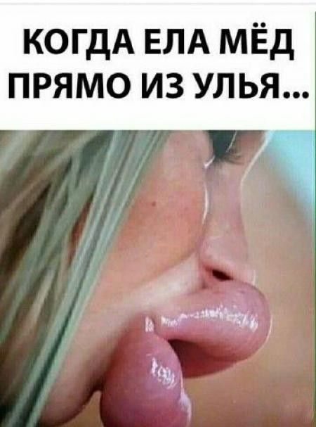 когдА ЕЛА МЁд ПРЯМО ИЗ УЛЬЯ