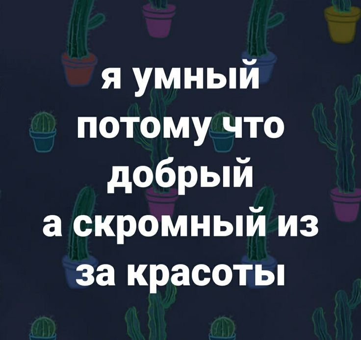 я умный потому что добрый а скромный из за красоты