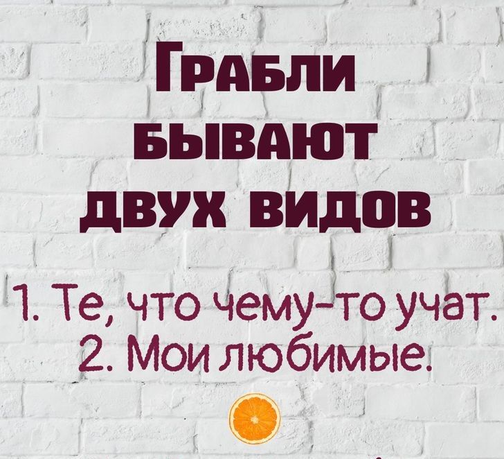 пэпи вывдют двух видов 1 Те что чему то учет 2 Мои любимые