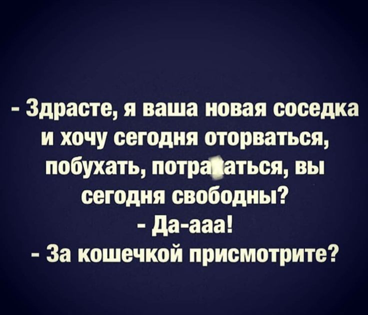 Здрасте я ваша новая соседка и хочу сегодня оторваться побухать потрфться вы сегодня свободны даааа За кошечкой прнсмотрите
