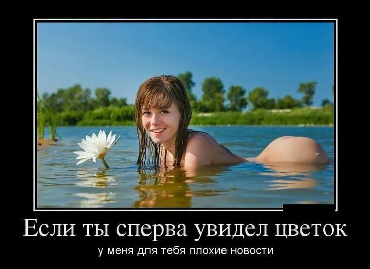 ЕСЛИ ТЫ сперва увидел ЦВСТОК у меня для тебя плохие юноши
