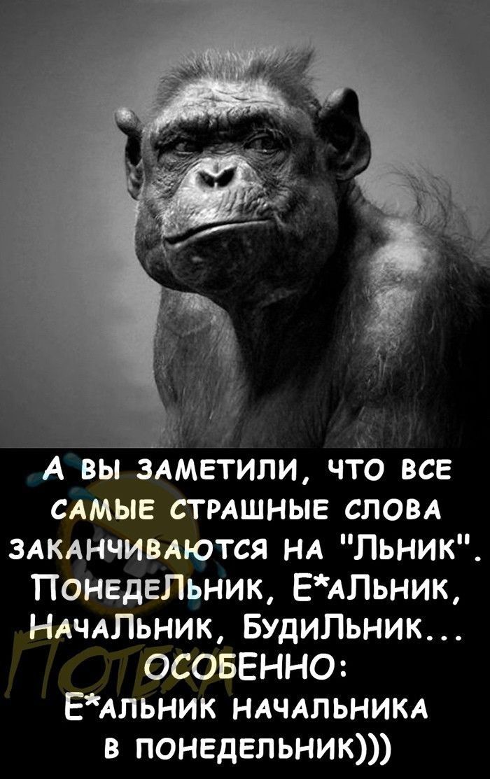 А вы здметили что все САМЫЕ страшные слом злкднчивдются НА Льник ПОНЕДЕЛЬНИК ЕАПЬНИК НАЧАЛЬНИК БУдиЛьник ОСОБЕННО ЕАльник НАЧАЛЬНИКА в понедельник