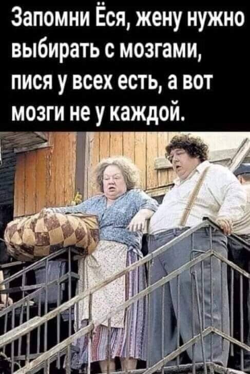 Запомни Ёся жену нужно выбирать с мозгами пися у всех есть а вот мозги не у каждой Д