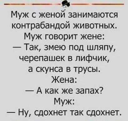 ____ Муж с женой занимаются контрабандой животных Муж говорит жене Так змею под шляпу черепашек в лифчик а скунса в трусы Жена А как же запах Муж Ну сдохнет так сдохнет