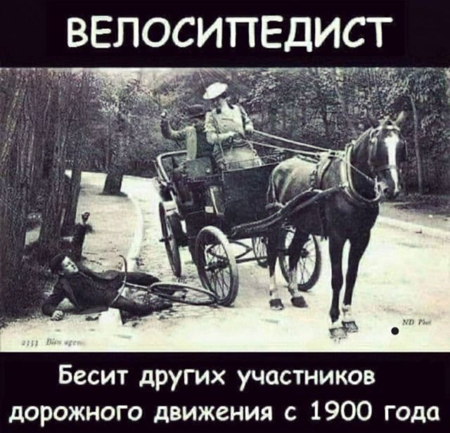 Бесит других участников дорожного движения с 1900 года