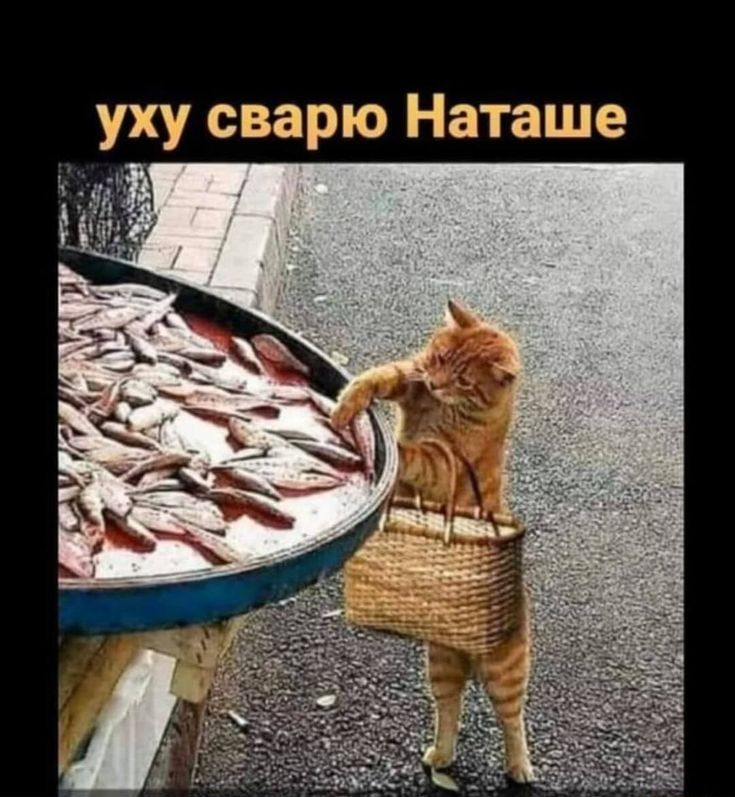 уху сварю Наташе