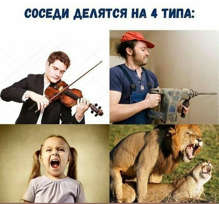 СОСЕДИ АЕАЯТСЯ НА 4 ТИПА