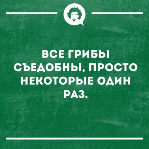 _Ф ВСЕ ГРИБЫ СЪЕАОБНЫ ПРОСТО НЕКОТОРЫЕ ОАИН РАЗ