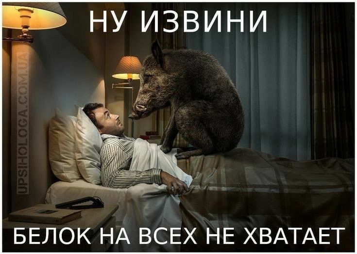 НУ ИЗВИНИ БЕЛОК НА ВСЕХ НЕ ХВАТАЕТ