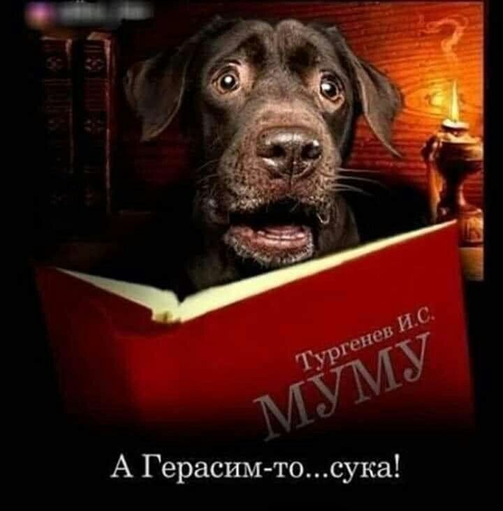 А Герасши тосука