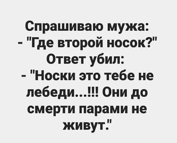 Спрашиваю мужа Где второй носок Ответ убил Носки это тебе не лебеди Они до смерти парами не живут